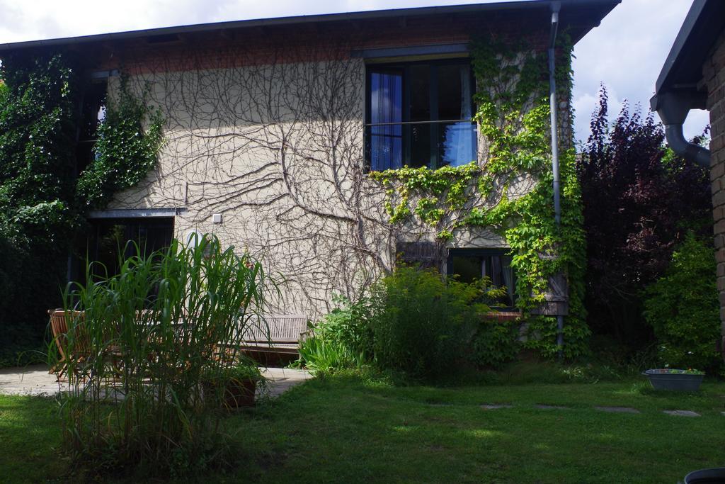 Haus Am See In Kleinzerlang Buitenkant foto
